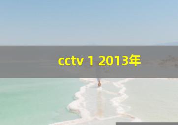 cctv 1 2013年